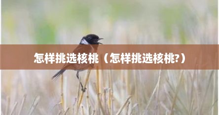 怎样挑选核桃（怎样挑选核桃?）