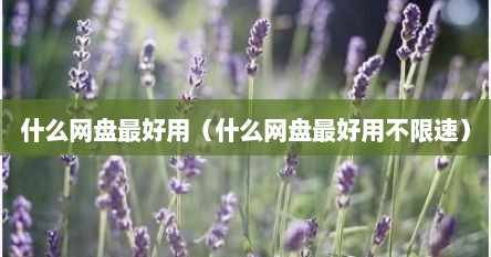什么网盘最好用（什么网盘最好用不限速）