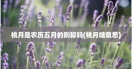 桃月是农历五月的别称吗(桃月啥意思)