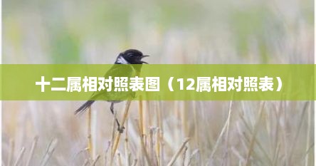 十二属相对照表图（12属相对照表）