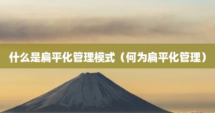 什么是扁平化管理模式（何为扁平化管理）