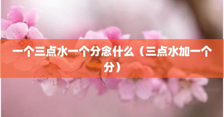 一个三点水一个分念什么（三点水加一个分）