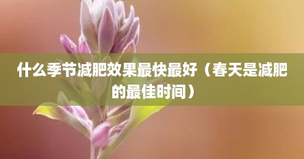 什么季节减肥效果最快最好（春天是减肥的最佳时间）