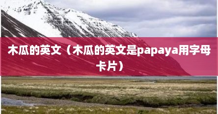 木瓜的英文（木瓜的英文是papaya用字母卡片）