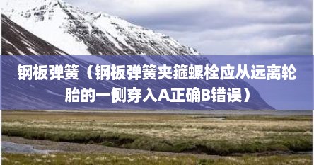 钢板夹钳弹簧结构（钢板弹簧箍）