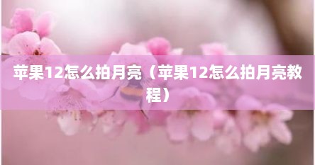 苹果12怎么拍月亮（苹果12怎么拍月亮教程）