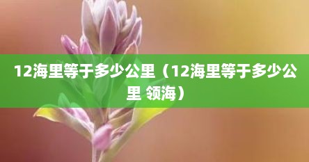 12海里等于多少公里（12海里等于多少公里 领海）
