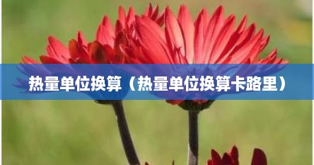 热量单位换算（热量单位换算卡路里）