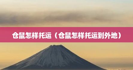 仓鼠怎样托运（仓鼠怎样托运到外地）
