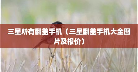 三星所有的翻盖手机（三星翻盖手机2020新款智能手机）