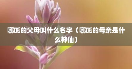 哪吒的父母叫什么名字（哪吒的母亲是什么神仙）