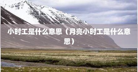 小时工是什么意思（月亮小时工是什么意思）