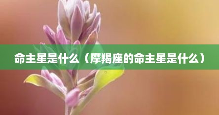 命主星是什么（摩羯座的命主星是什么）