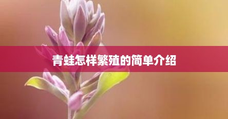 青蛙怎样繁殖的简单介绍