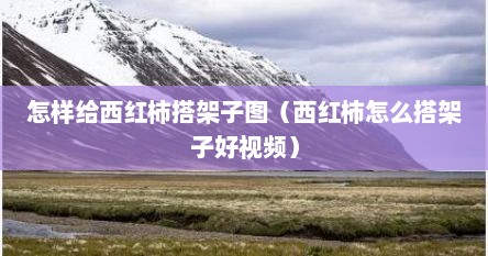 怎样给西红柿搭架子图（西红柿怎么搭架子好视频）