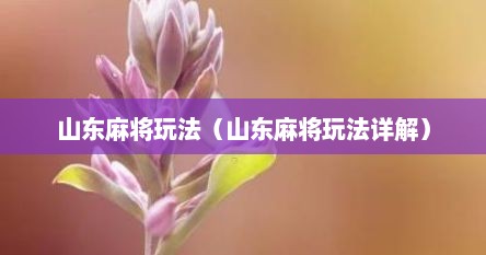 山东麻将玩法(山东麻将玩法详解) 山东麻将玩法(山东麻将玩法详解)