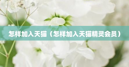 怎样加入天猫（怎样加入天猫精灵会员）