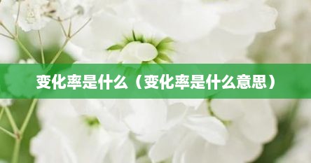 变化率是什么（变化率是什么意思）