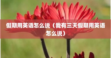 假期用英语怎么说（我有三天假期用英语怎么说）