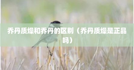 乔丹质燥和乔丹的区别（乔丹质燥是正品吗）