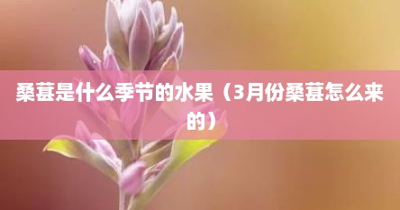 桑葚是什么季节的水果（3月份桑葚怎么来的）