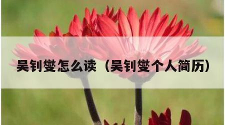吴钊燮怎么读(吴钊燮个人简历)