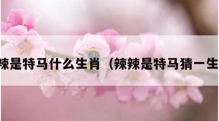 辣辣是特马什么生肖(辣辣是特马猜一生肖)