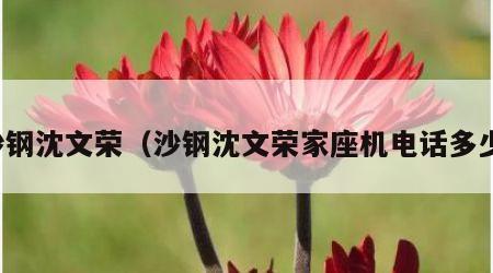 沙钢沈文荣(沙钢沈文荣家座机电话多少)