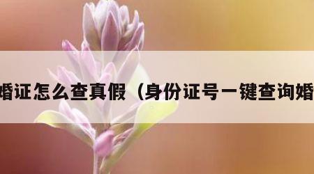 离婚证怎么查真假(身份证号一键查询婚姻)