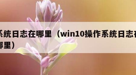 系统日志在哪里(win10操作系统日志在哪里)