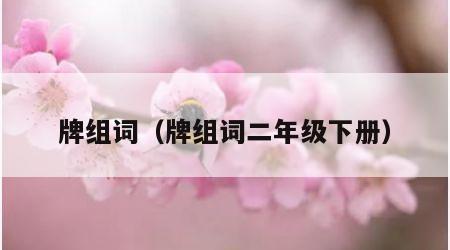 牌组词(牌组词二年级下册)