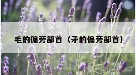 毛的偏旁部首(矛的偏旁部首)