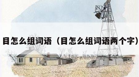 目怎么组词语(目怎么组词语两个字)