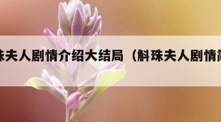 斛珠夫人剧情介绍大结局(斛珠夫人剧情简介)