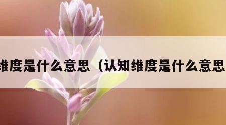 维度是什么意思(认知维度是什么意思)