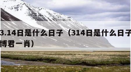 3.14日是什么日子(314日是什么日子博君一肖)