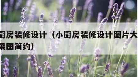 小厨房装修设计（小厨房装修设计图片大全 效果图简约）