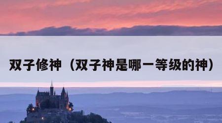 双子修神(双子神是哪一等级的神)