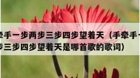 手牵手一步两步三步四步望着天(手牵手一步两步三步四步望着天是哪首歌的歌词)